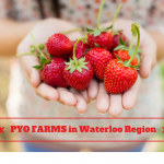 Picking your own produce is a favorite family event for people living in Waterloo Ontario